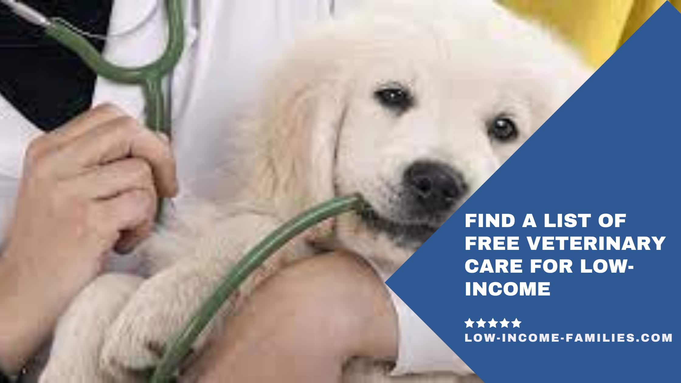 Find a List of Free Veterinary Care for Low-Income