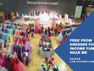 Families Free Prom Dresses For Low Income prom dresses, What is the Free Prom Dress For Low Income Program, Where to Get Free Prom Dresses For Low-income families?