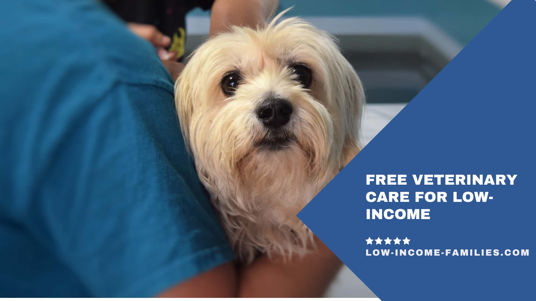 Free Veterinary Care for Low-Income
