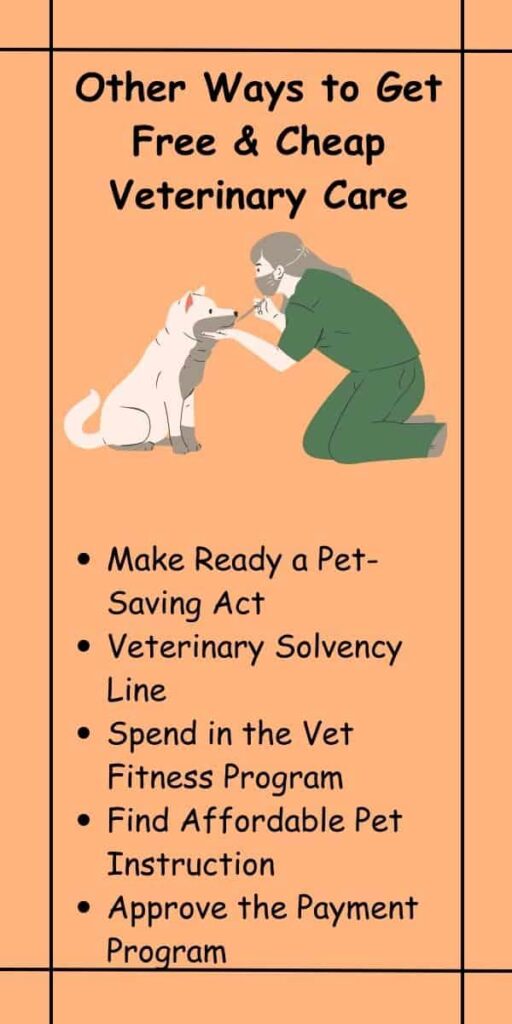 Other Ways to Get Free & Cheap Veterinary Care