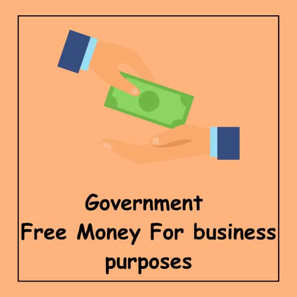 Government Free Money For business purposes