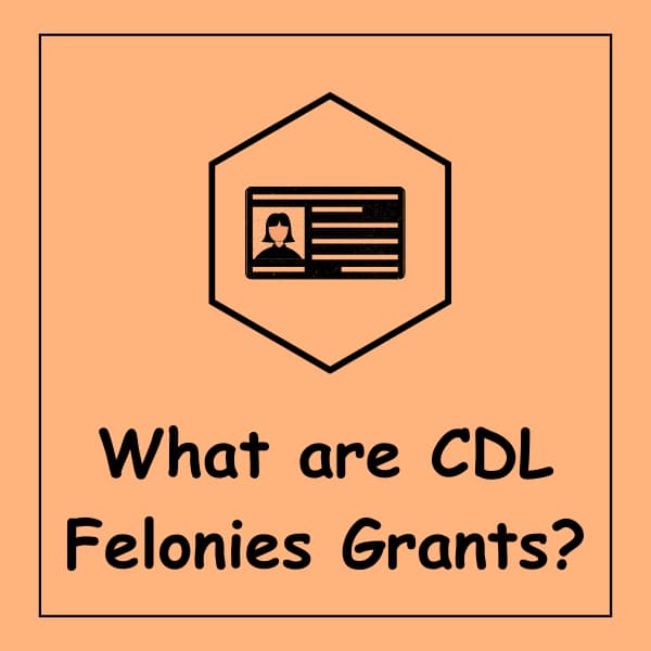 What are CDL Felonies Grants?