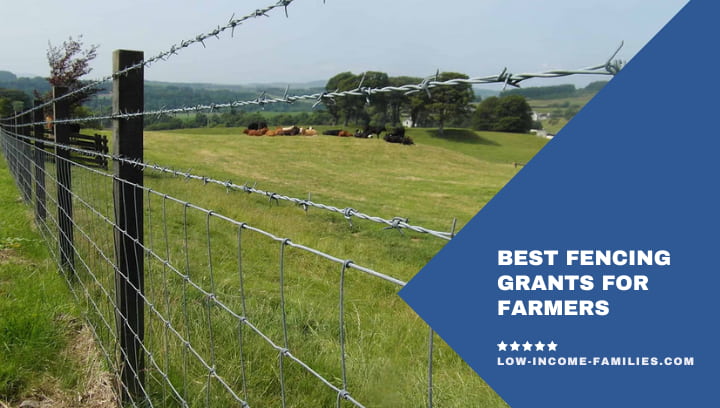 Best Fencing Grants For Farmers