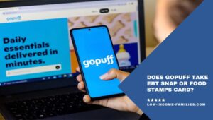 Does Gopuff Take EBT Snap Or Food Stamps Card?