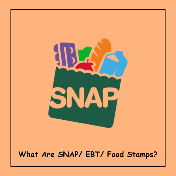 What Are SNAP/ EBT/ Food Stamps?